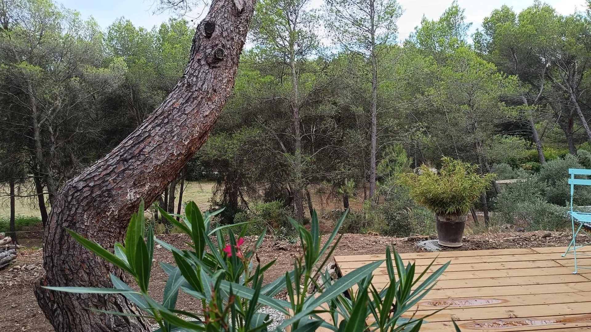 Apartament Escapade Sous Les Pins 20M2 Aurons